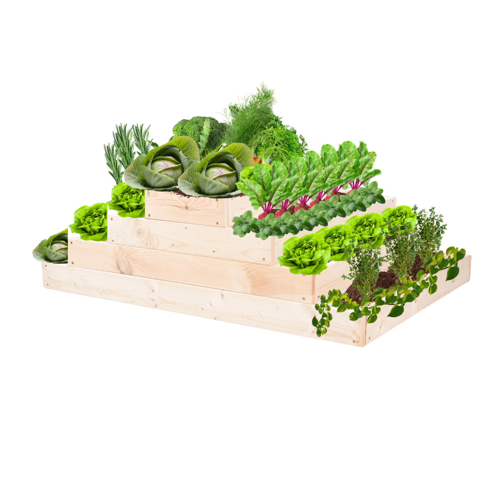 Skrzynia na warzywa regulowana skrzynie na warzywniak donica 36x117x60