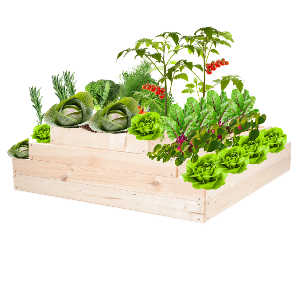 Skrzynia na warzywa regulowana skrzynie na warzywniak donica 36x117x120