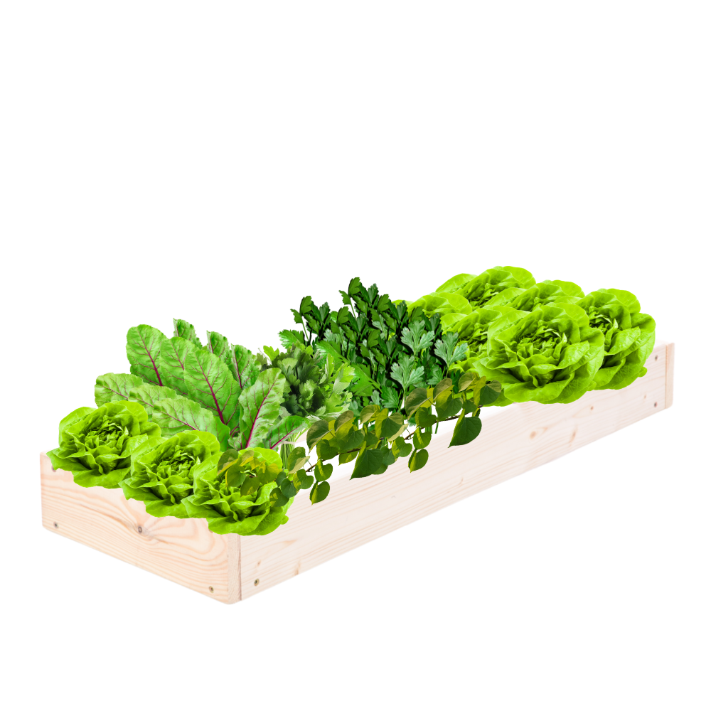 Skrzynia na warzywa regulowana skrzynie na warzywniak donice 9x30x60