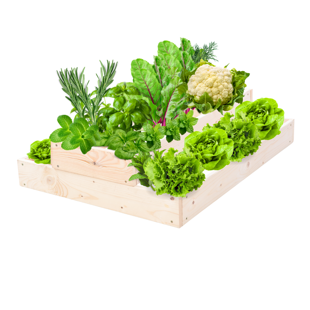 Skrzynia na warzywa regulowana skrzynie na warzywniak inspekt 18x60x80