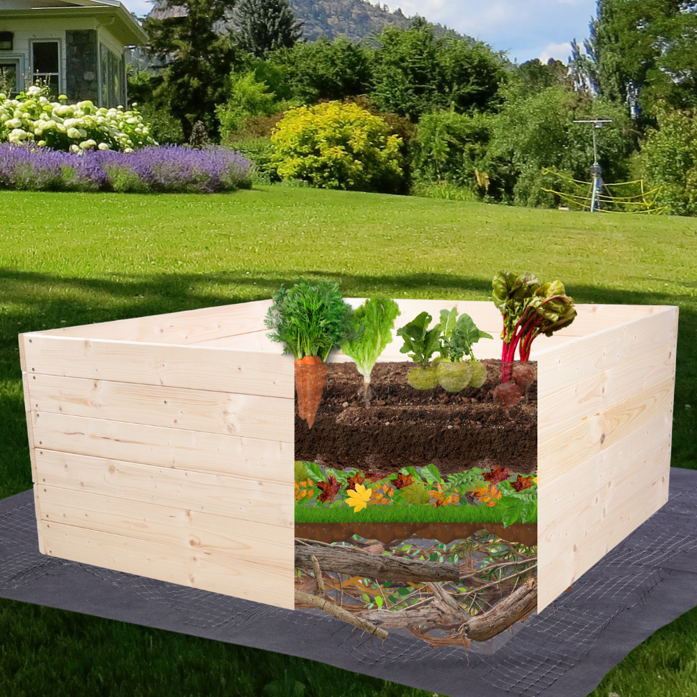 Skrzynia na warzywa regulowana skrzynie na warzywniak inspekt 18x60x90