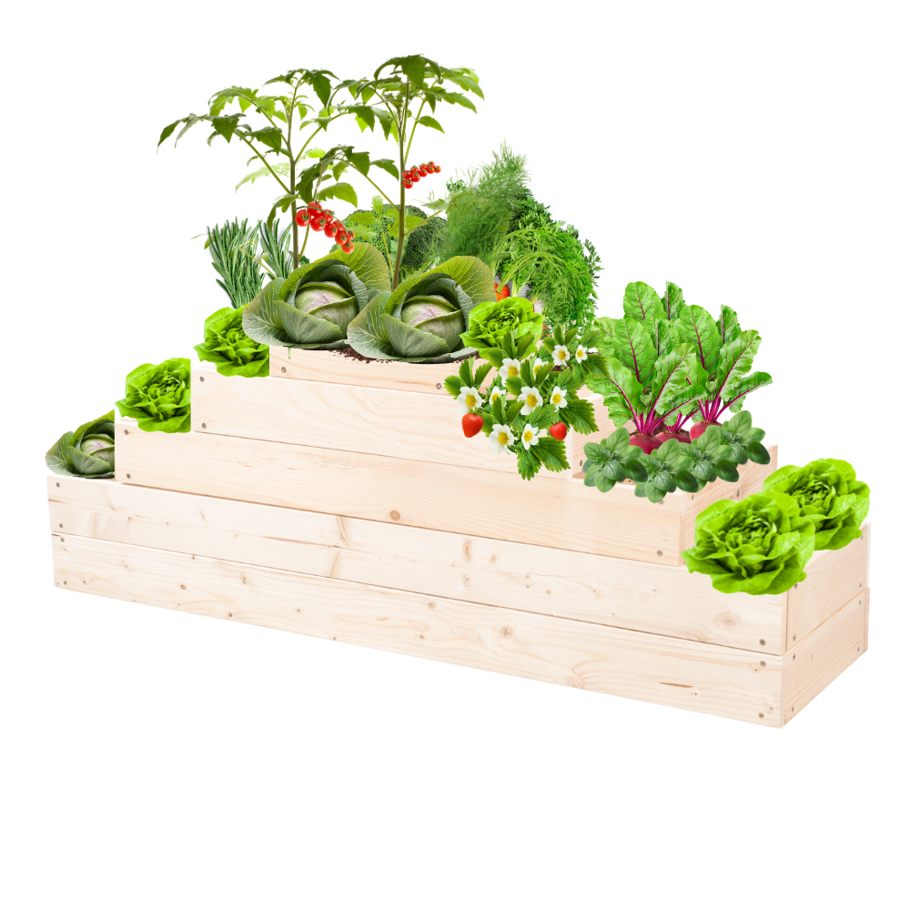 Skrzynia na warzywa kaskadowa skrzynie na warzywniak regulacja 45x117x30