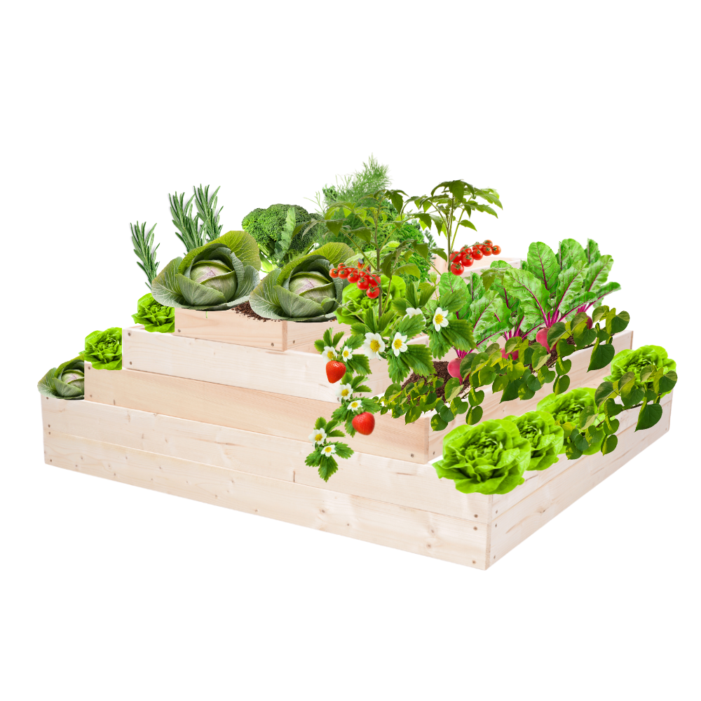 Skrzynia na warzywa kaskadowa skrzynie na warzywniak regulacja 45x117x100