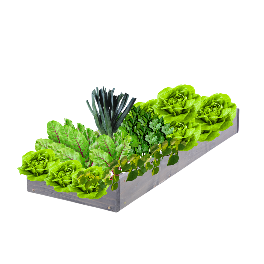 Skrzynia na warzywa regulowana skrzynie na warzywniak donice 9x30x80