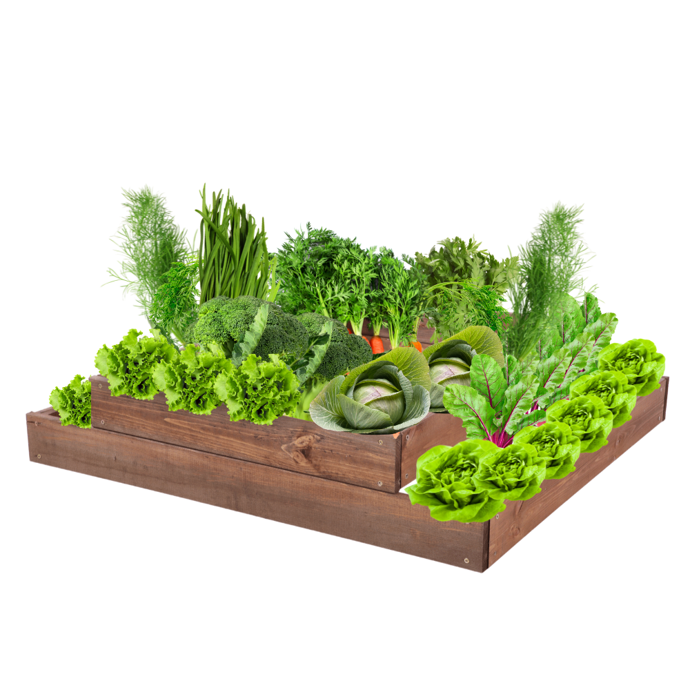 Skrzynia na warzywa regulowana skrzynie na warzywniak inspekt 18x90x80