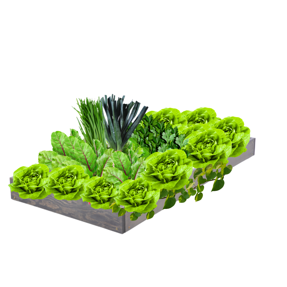 Skrzynia na warzywa regulowana skrzynie na warzywniak inspekt 9x60x90