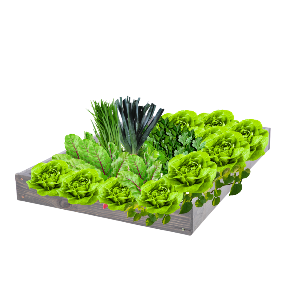 Skrzynia na warzywa regulowana skrzynie na warzywniak inspekt 9x90x120