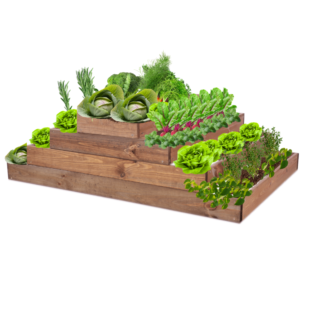 Skrzynia na warzywa regulowana skrzynie na warzywniak donica 36x117x90