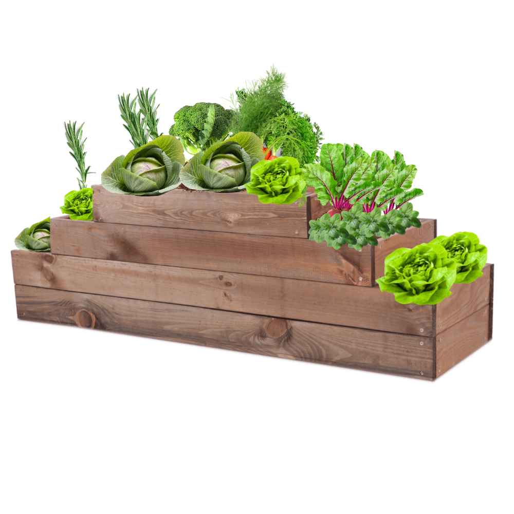 Skrzynia na warzywa regulowana skrzynie na warzywnik inspekt 36x117x30