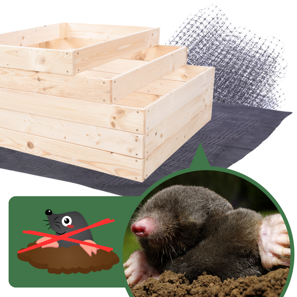 Skrzynia na warzywa regulowana skrzynie na warzywnik inspekt 36x117x30