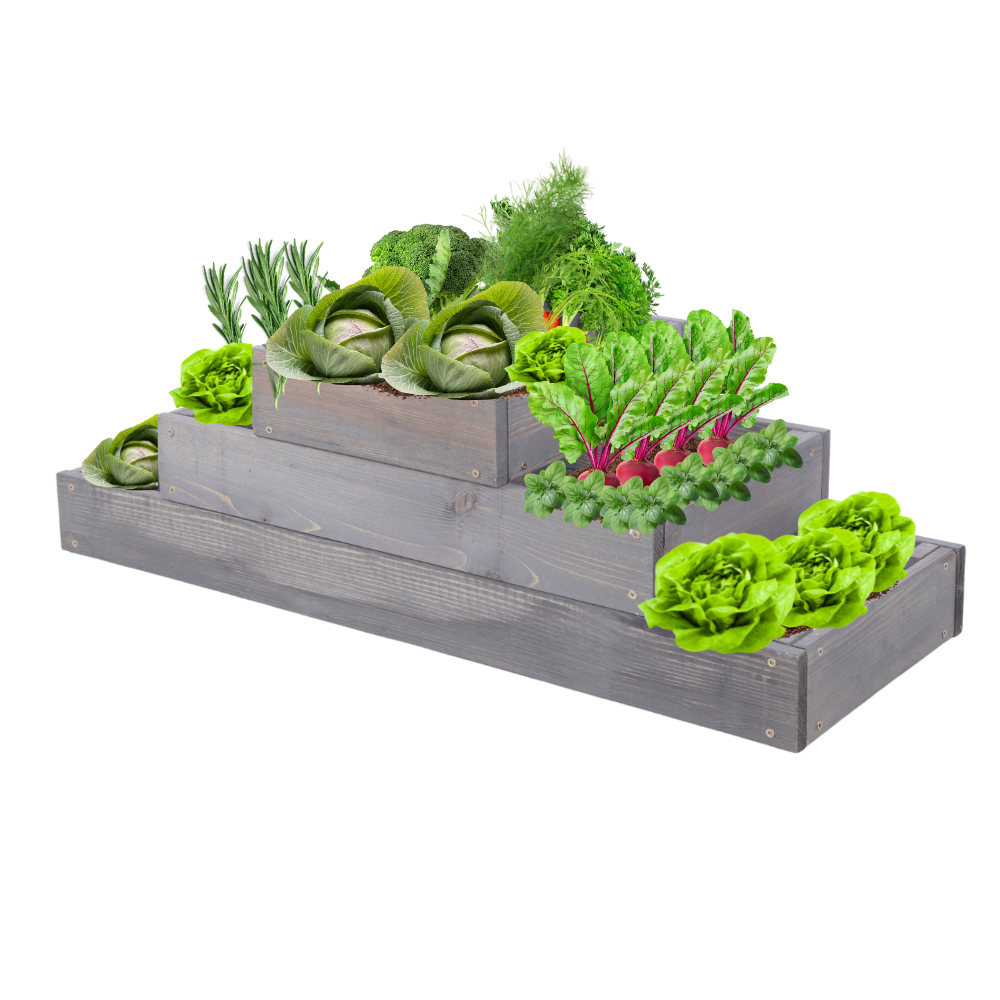 Skrzynia na warzywa regulowana skrzynie na warzywniak inspekt 27x90x30