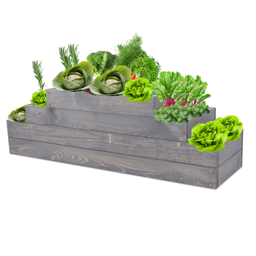 Skrzynia na warzywa regulowana skrzynie na warzywnik inspekt 36x117x30