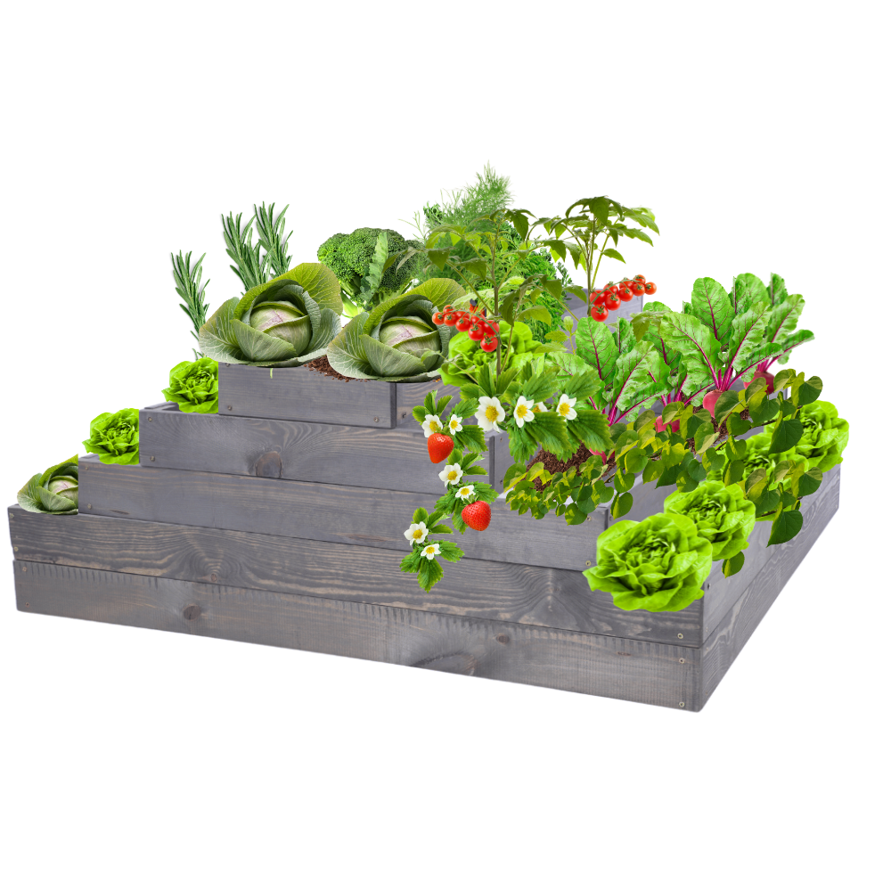 Skrzynia na warzywa kaskadowa skrzynie na warzywniak regulacja 45x117x120