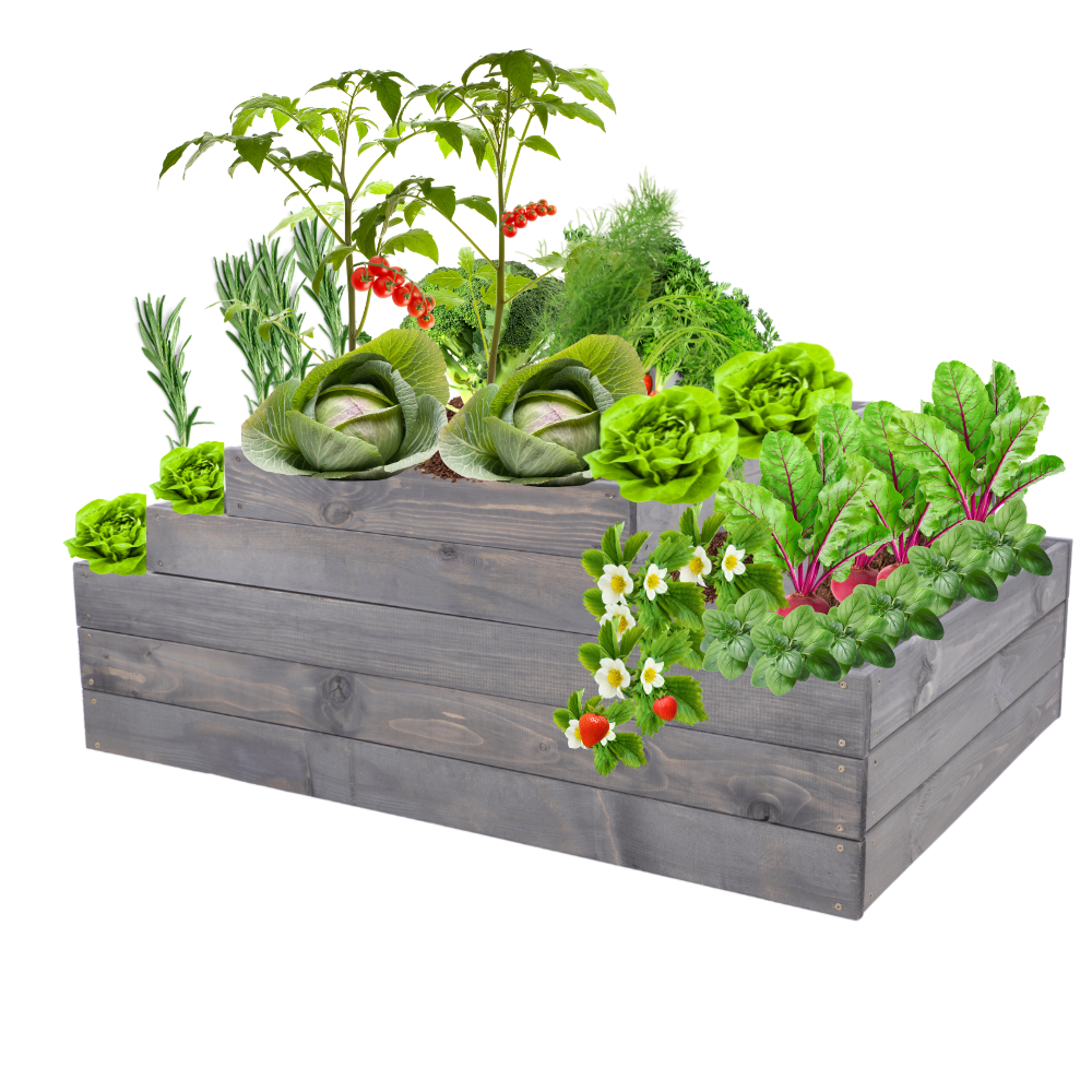 Skrzynia na warzywa regulowana skrzynie na warzywniak inspekt 45x117x90