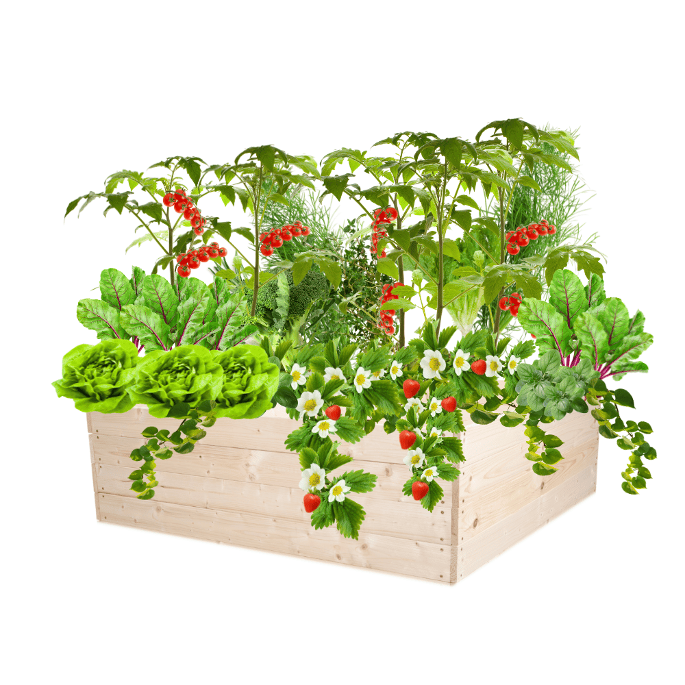 Skrzynia na warzywa skrzynie na warzywniak inspekt donica grządka 36x103x100