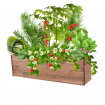 Skrzynia na warzywa skrzynie na warzywniak inspekt donica grządka 36x120x30