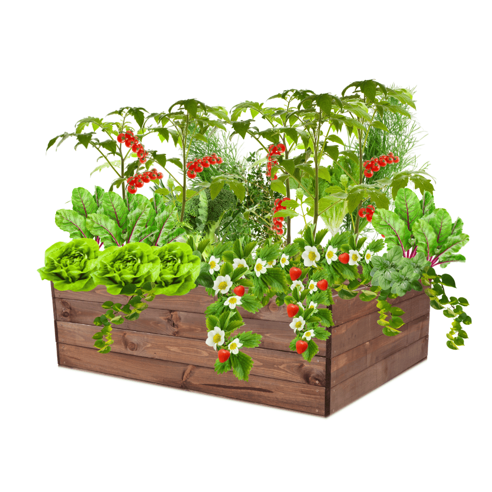 Skrzynia na warzywa skrzynie na warzywniak inspekt donica grządka 36x120x100