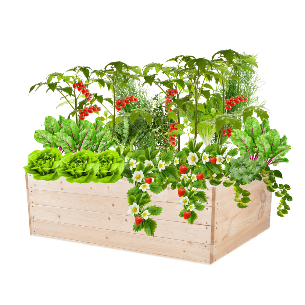 Skrzynia na warzywa skrzynie na warzywniak inspekt donica grządka 36x120x100