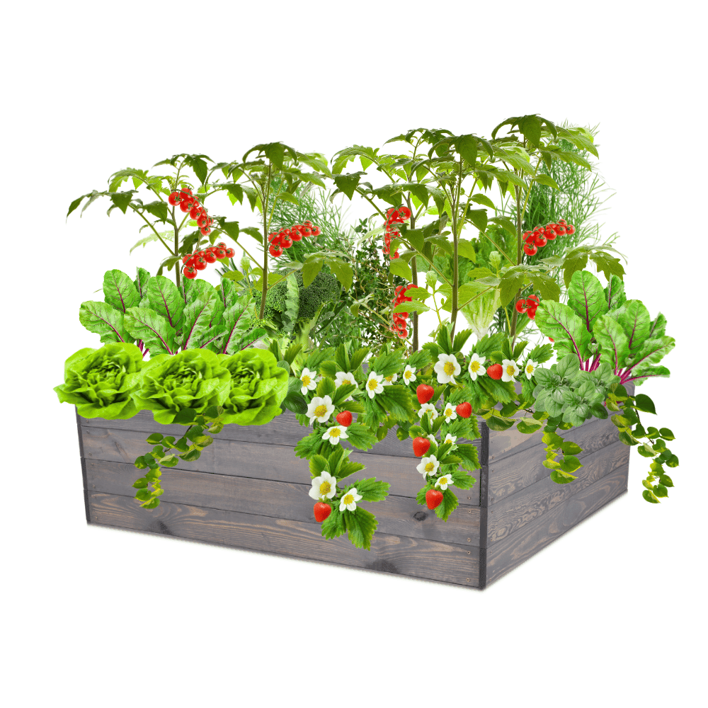 Skrzynia na warzywa skrzynie na warzywniak inspekt donica grządka 36x120x117