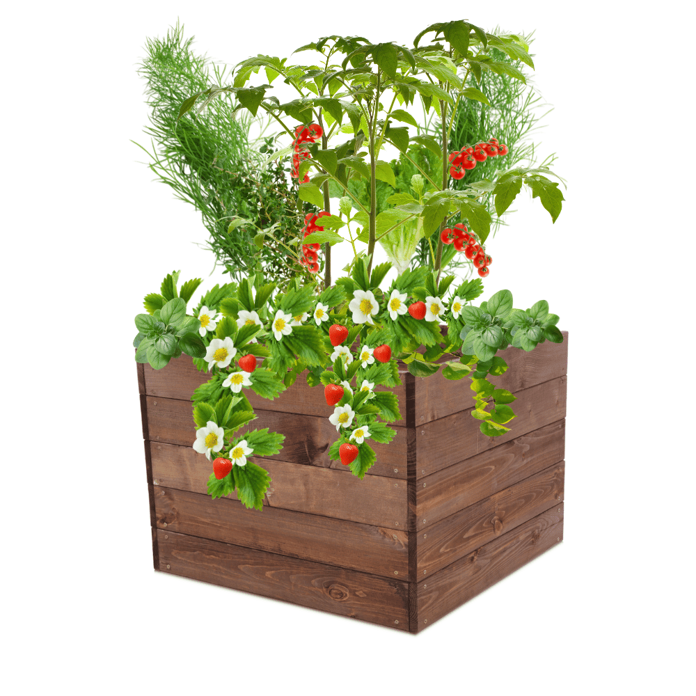 Skrzynia na warzywa skrzynie na warzywnik inspekt donica grządka 45x63x60