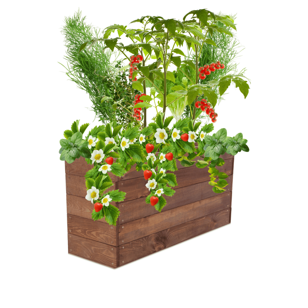 Skrzynia na warzywa skrzynie na warzywnik inspekt donica grządka 45x93x30