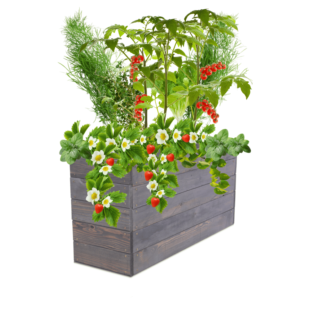 Skrzynia na warzywa skrzynie na warzywnik inspekt donica grządka 45x93x30