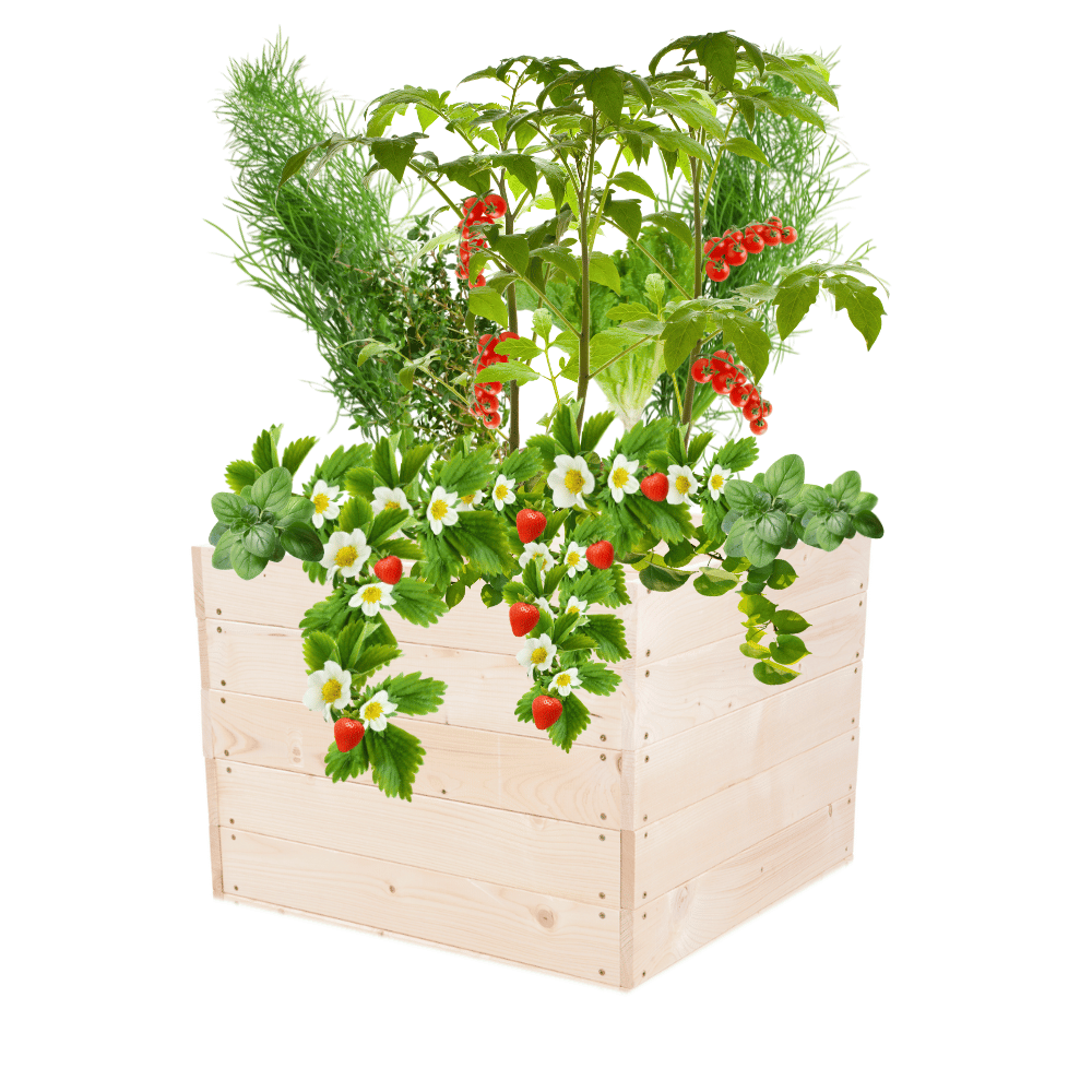 Skrzynia na warzywa skrzynie na warzywnik inspekt donica grządka 45x93x90