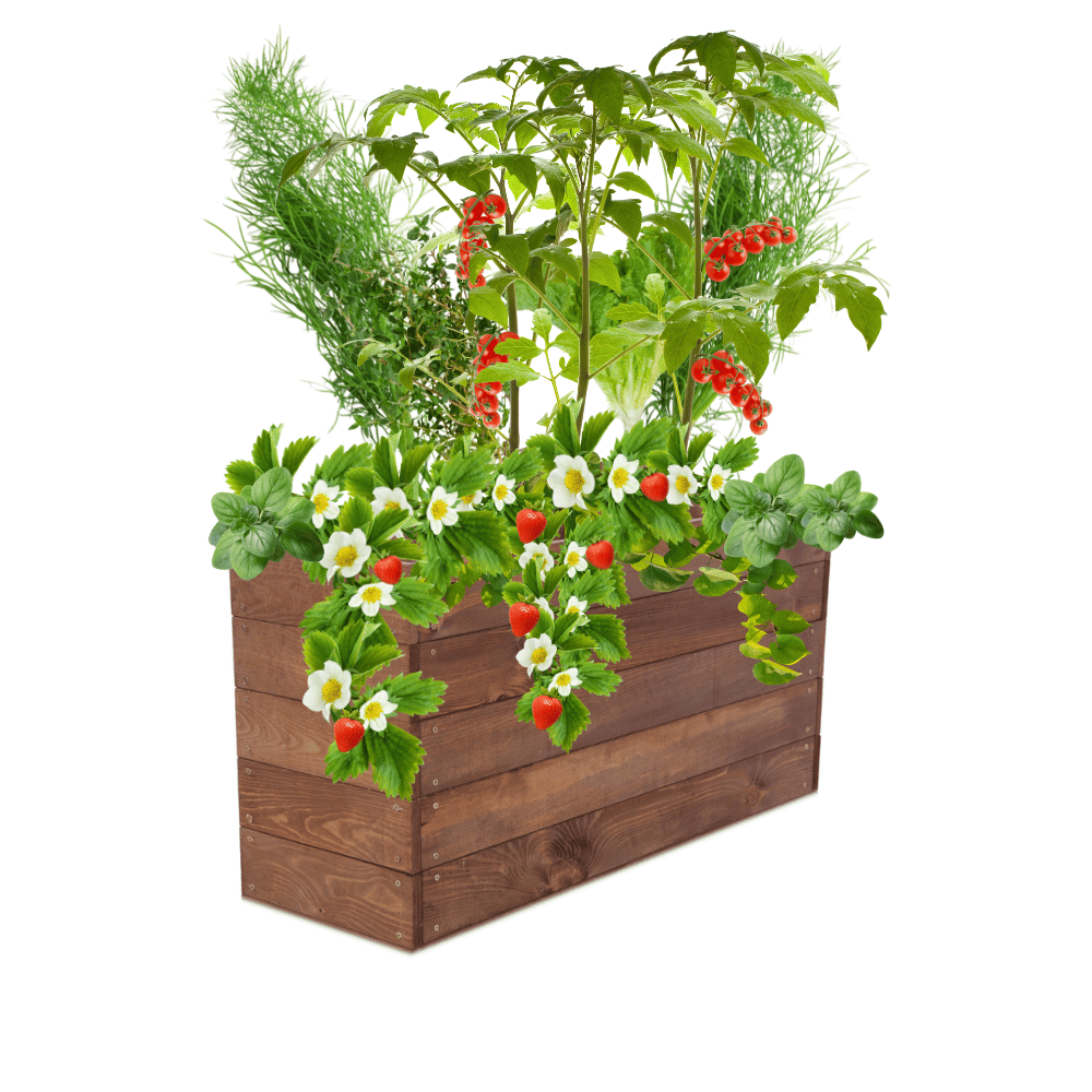 Skrzynia na warzywa skrzynie na warzywnik inspekt donica grządka 45x103x30