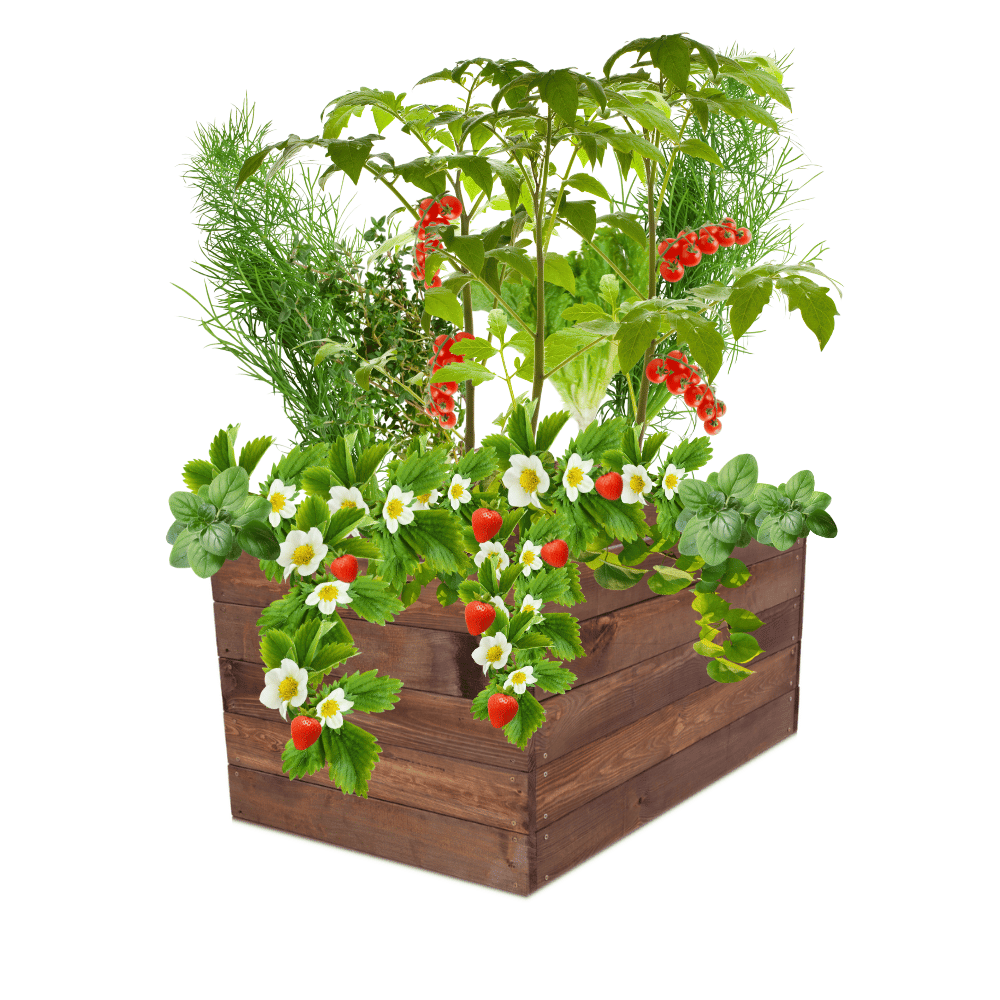 Skrzynia na warzywa skrzynie na warzywnik inspekt donica grządka 45x103x60