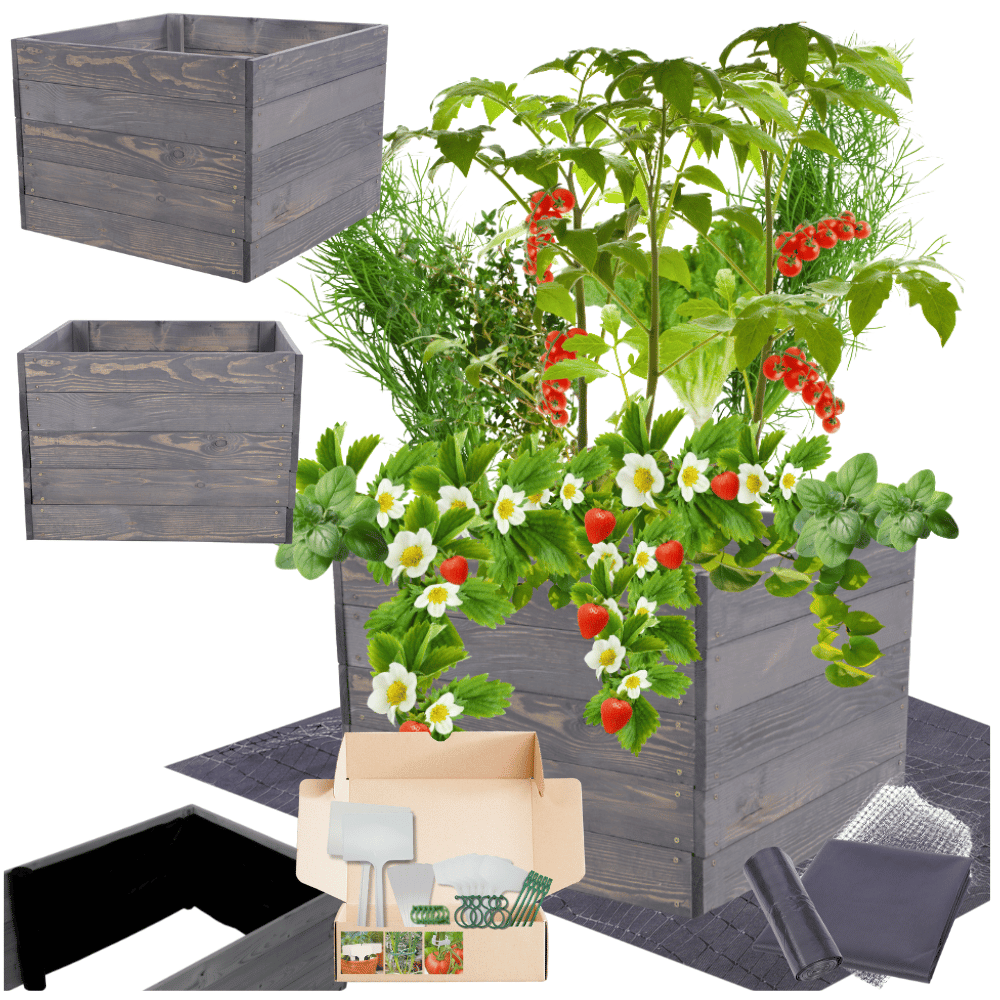 Skrzynia na warzywa skrzynie na warzywnik inspekt donica grządka 45x103x60