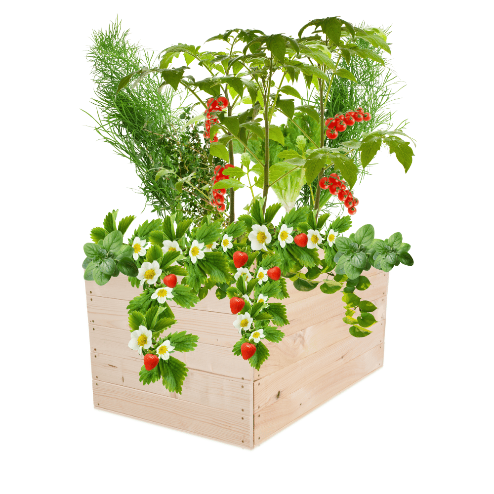 Skrzynia na warzywa skrzynie na warzywnik inspekt donica grządka 45x103x80