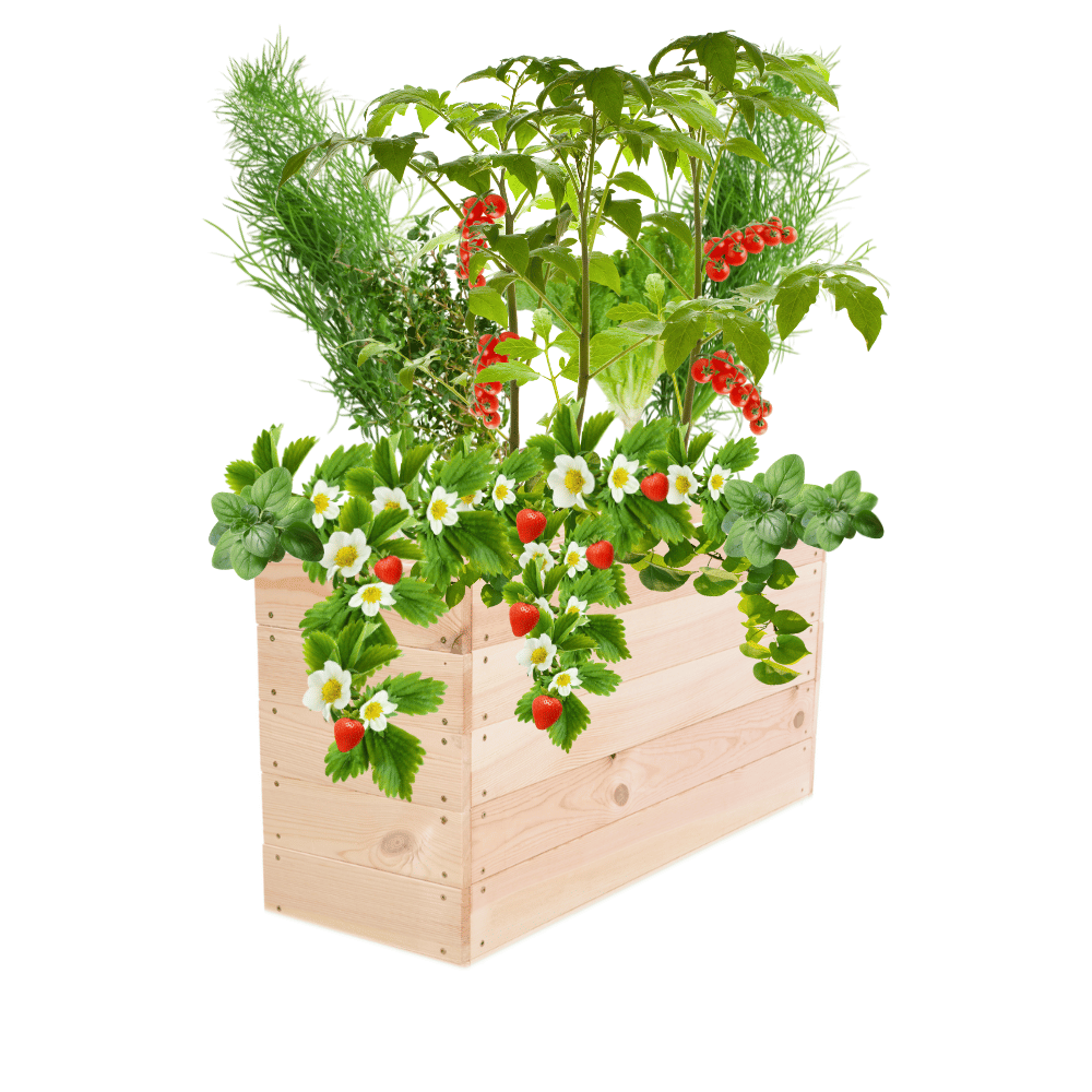 Skrzynia na warzywa skrzynie na warzywnik inspekt donica grządka 45x103x80