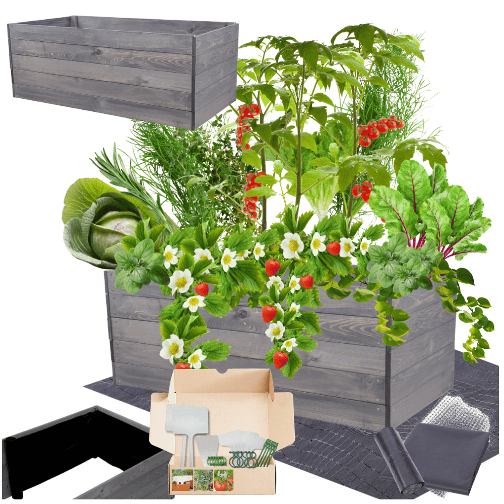 Skrzynia na warzywa skrzynie na warzywnik inspekt donica grządka 45x120x60