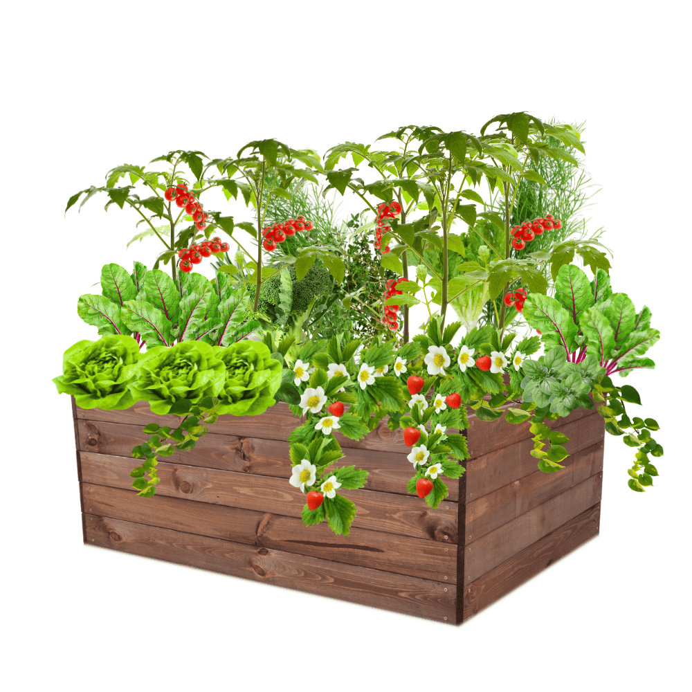 Skrzynia na warzywa skrzynie na warzywnik inspekt donica grządka 45x120x90