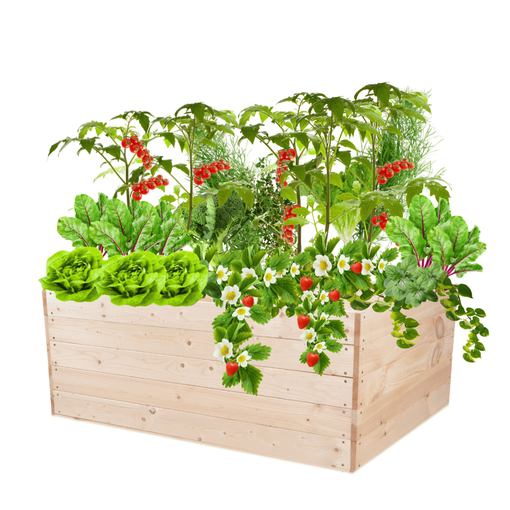 Skrzynia na warzywa skrzynie na warzywnik inspekt donica grządka 45x120x90