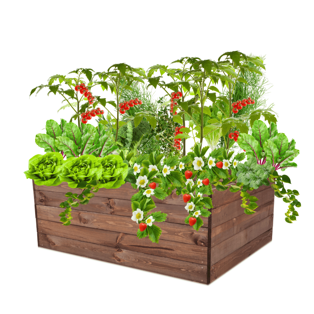 Skrzynia na warzywa skrzynie na warzywnik inspekt donica grządka 45x120x100