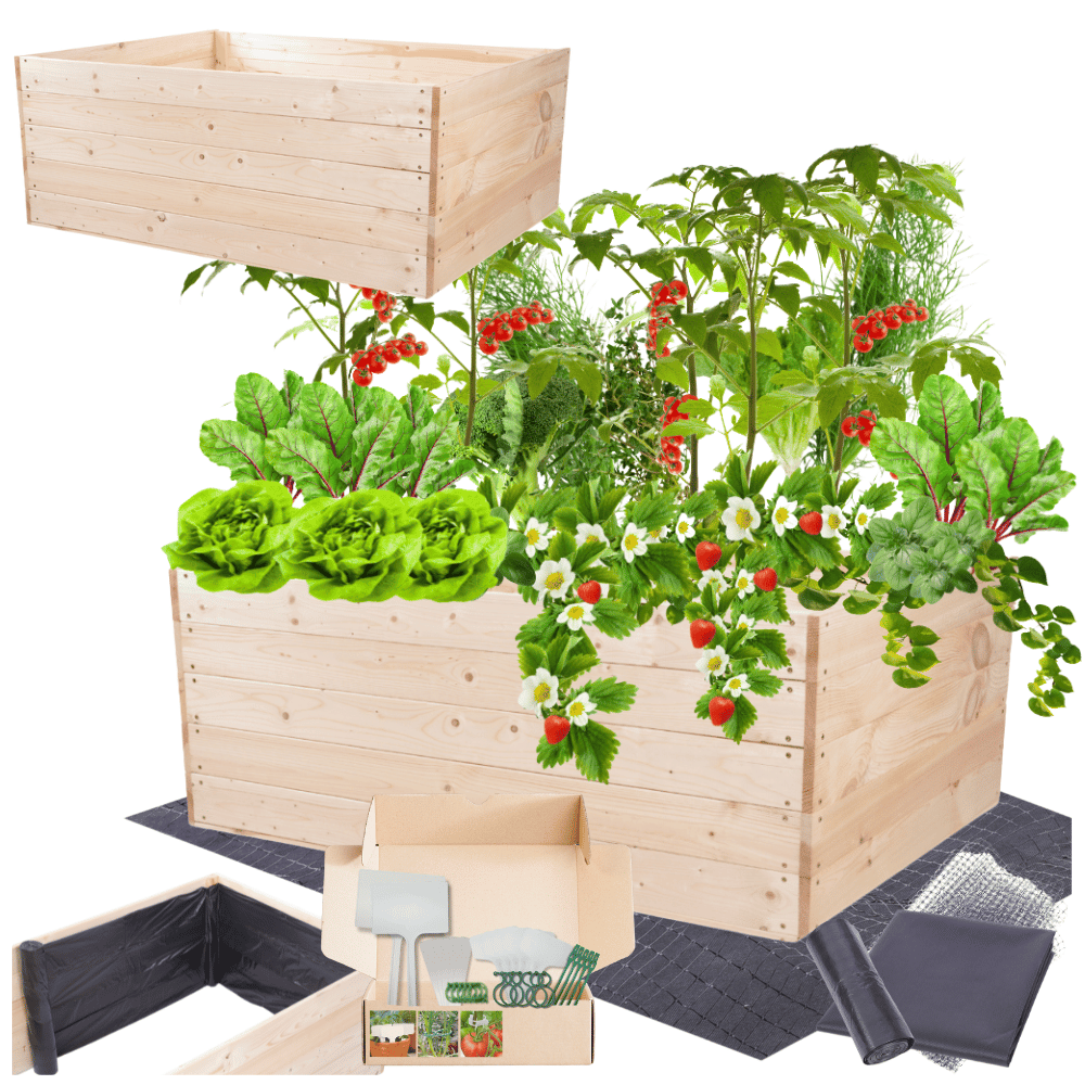 Skrzynia na warzywa skrzynie na warzywnik inspekt donica grządka 45x120x100