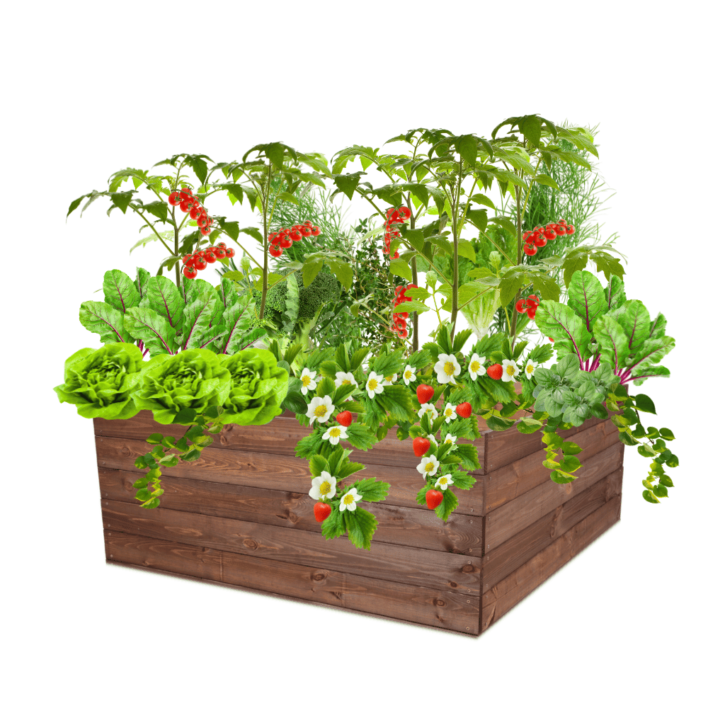 Skrzynia na warzywa skrzynie na warzywnik inspekt donica grządka 45x120x117