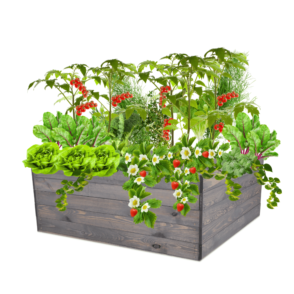 Skrzynia na warzywa skrzynie na warzywnik inspekt donica grządka 45x120x117