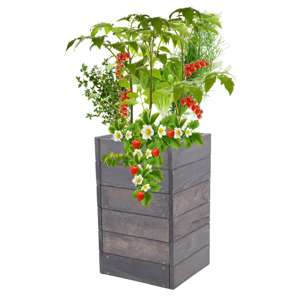 Skrzynia na warzywa skrzynie na warzywniak inspekt donica grządka 54x33x30