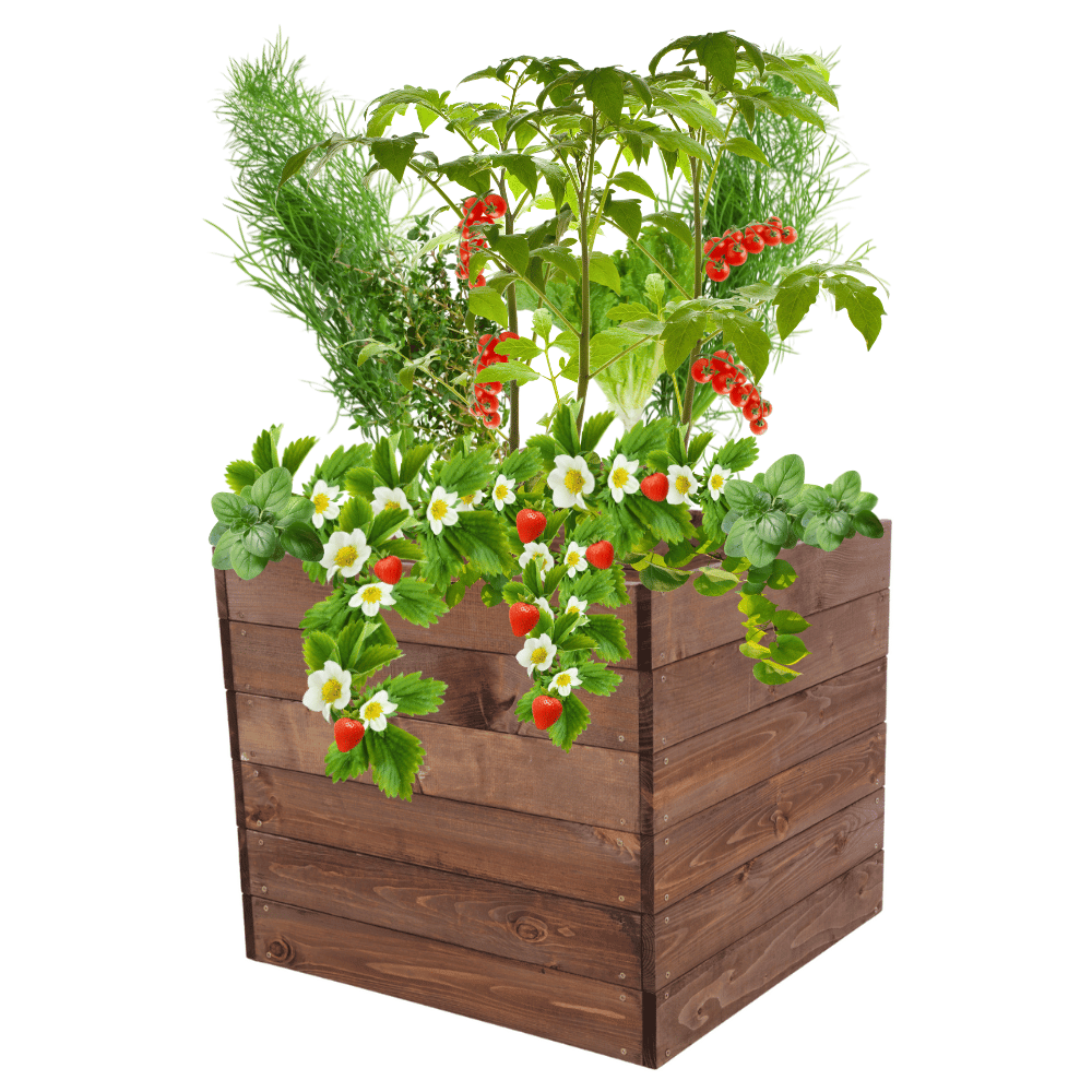 Skrzynia na warzywa skrzynie na warzywniak inspekt donica grządka 54x63x60