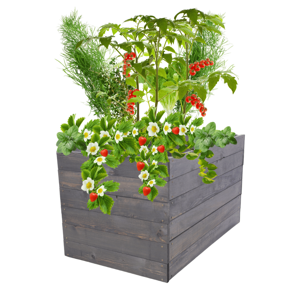 Skrzynia na warzywa skrzynie na warzywniak inspekt donica grządka 54x83x80