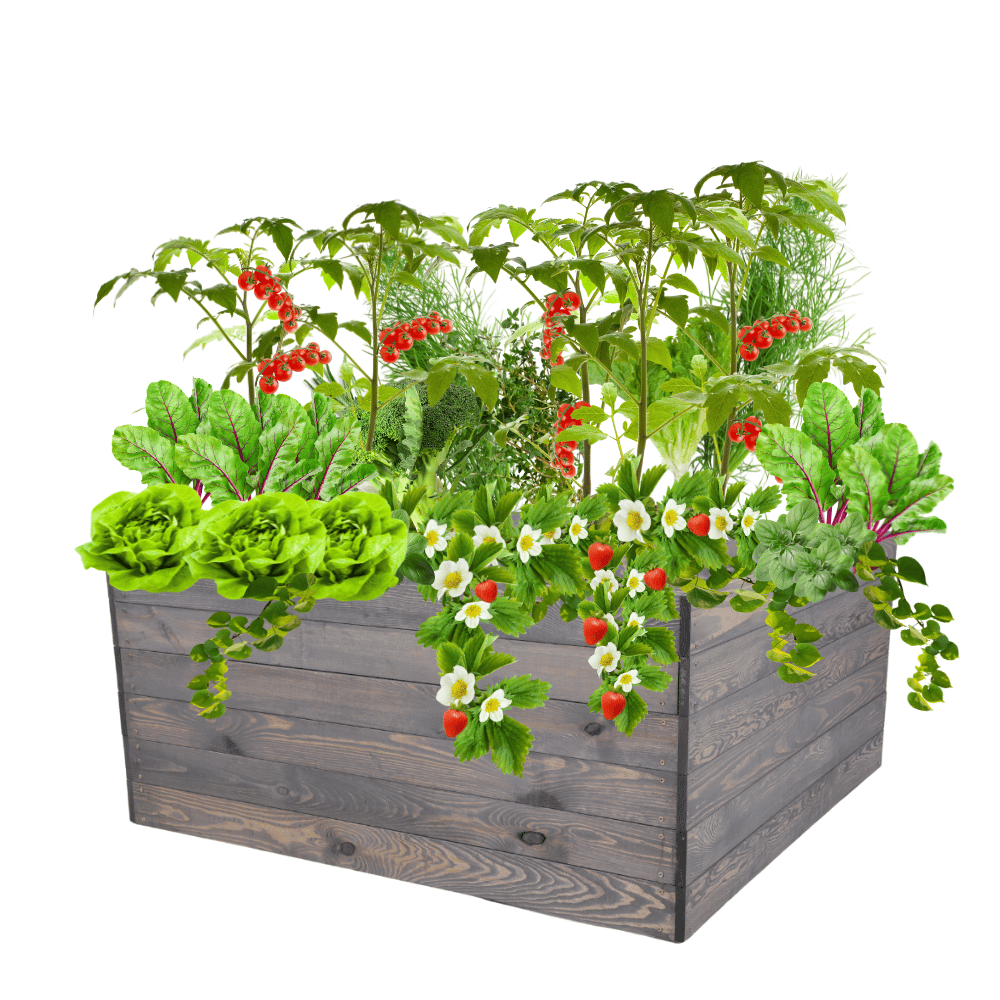 Skrzynia na warzywa skrzynie na warzywniak inspekt donica grządka 54x103x100