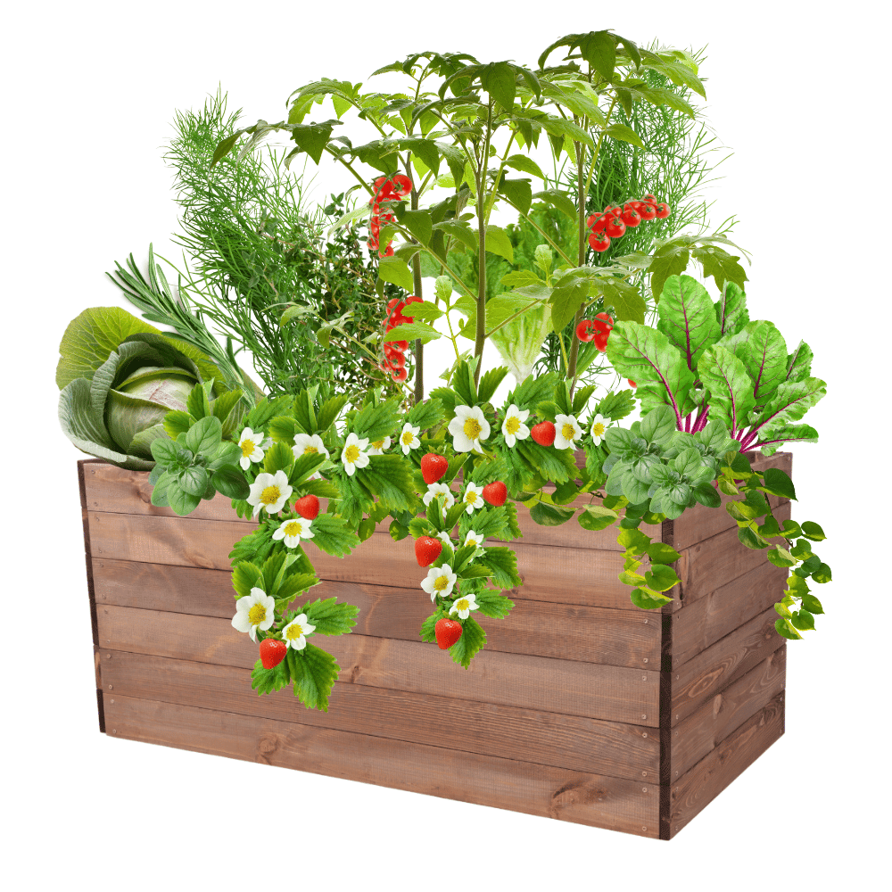 Skrzynia na warzywa skrzynie na warzywniak inspekt donica grządka 54x120x60