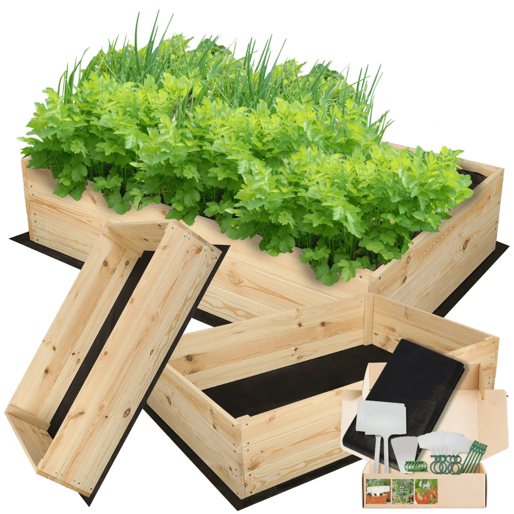 Skrzynia na warzywa skrzynie na warzywniak inspekt donica grządka 27x120x100