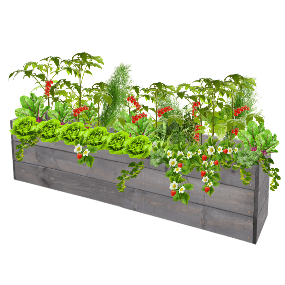 Skrzynia na warzywa skrzynie na warzywniak inspekt donica grządka 27x120x30