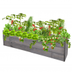 Skrzynia na warzywa skrzynie na warzywniak inspekt donica grządka 27x120x30