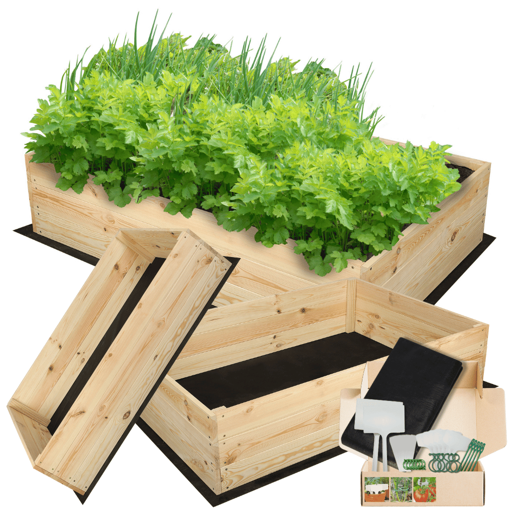 Skrzynia na warzywa skrzynie na warzywniak inspekt donica grządka 27x120x80