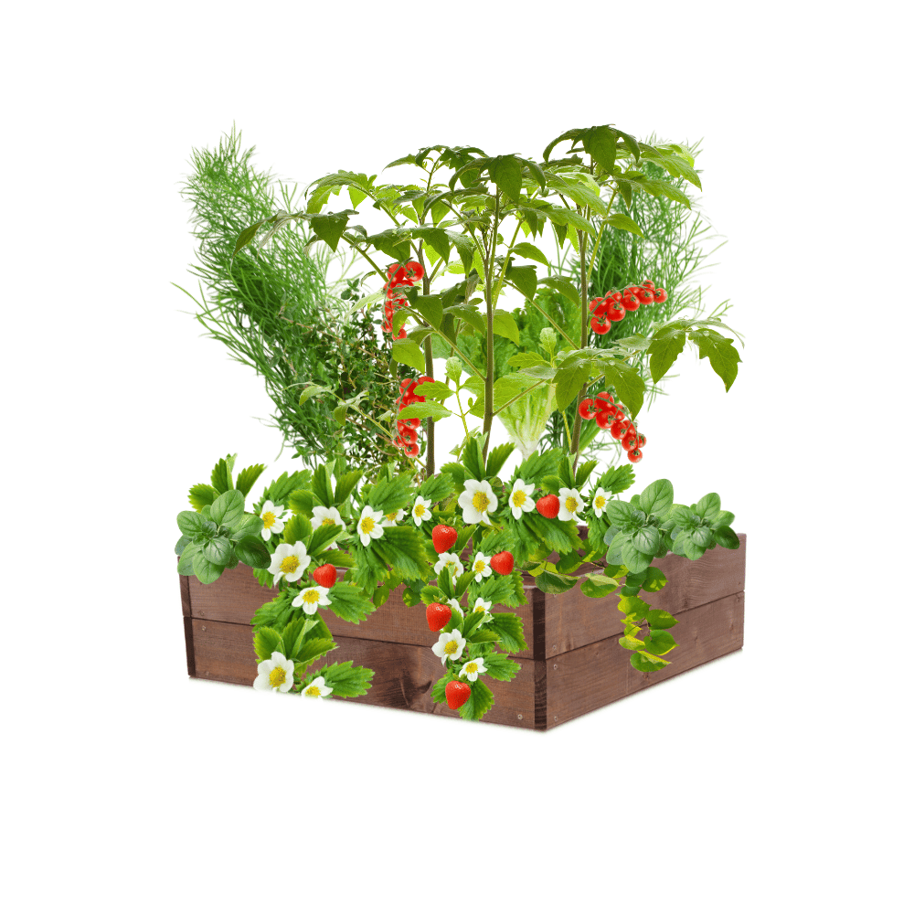 Skrzynia na warzywa skrzynie na warzywniak inspekt donica grządka 18x90x90