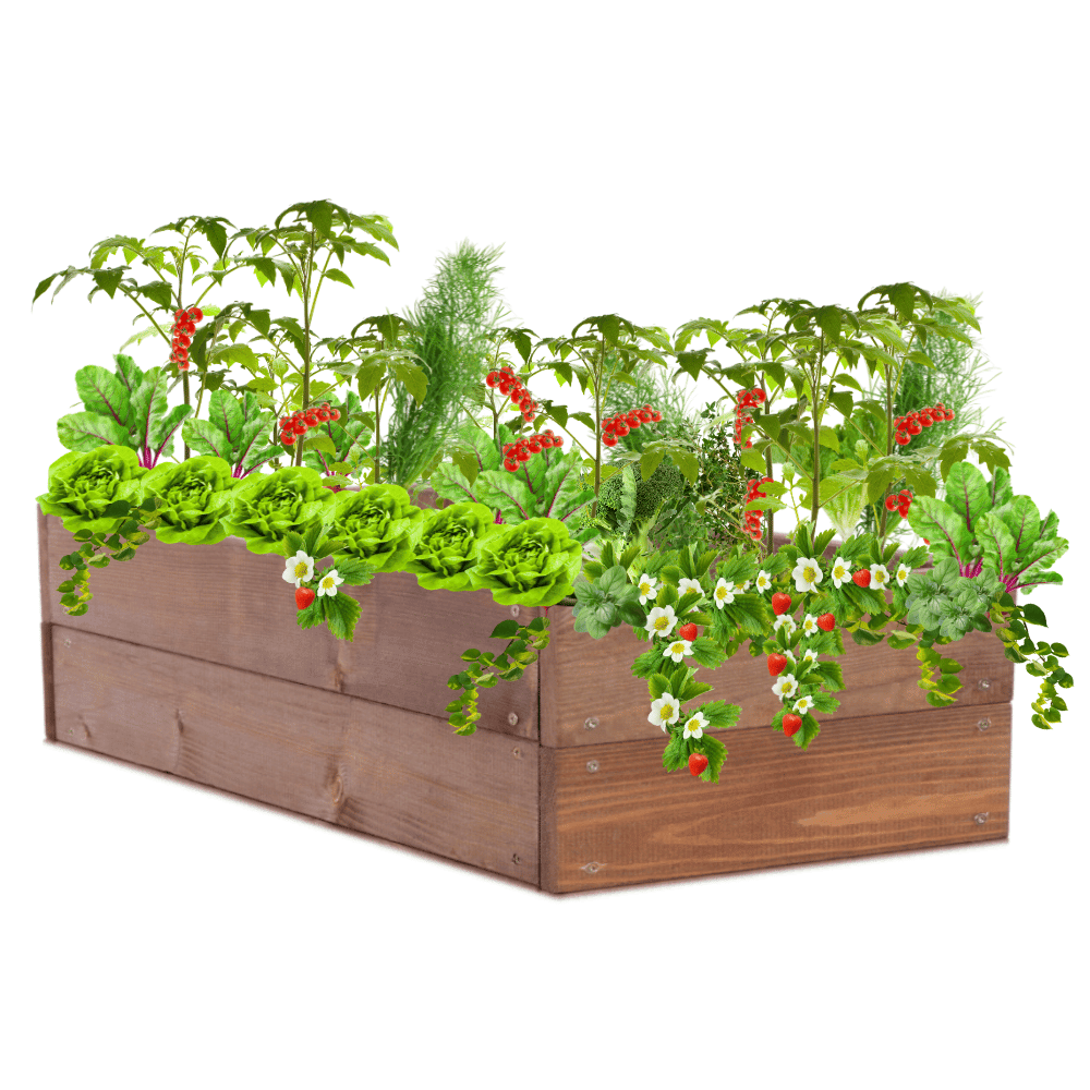 Skrzynia na warzywa skrzynie na warzywniak inspekt donica grządka 18x120x30